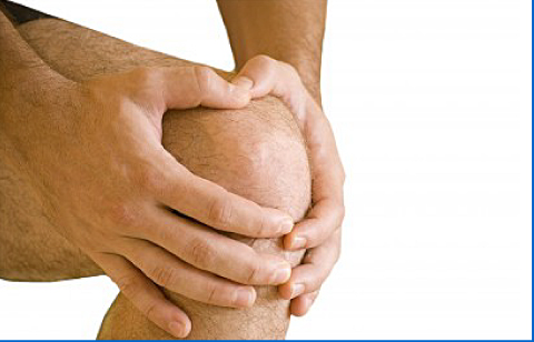 Knee Specialist